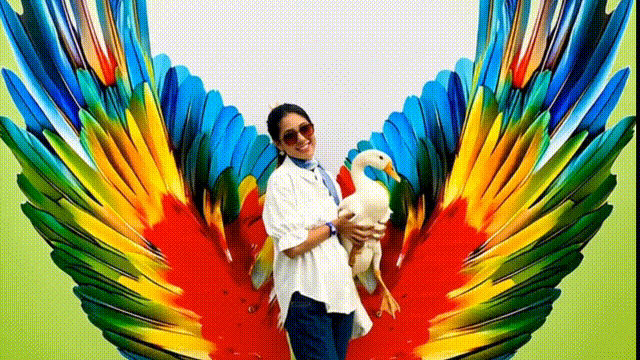 Bird Park